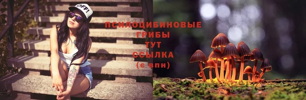 прущие крисы Алексеевка