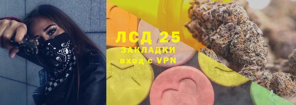 ПСИЛОЦИБИНОВЫЕ ГРИБЫ Алзамай