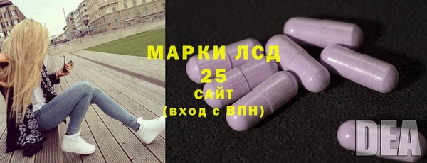 ПСИЛОЦИБИНОВЫЕ ГРИБЫ Алзамай