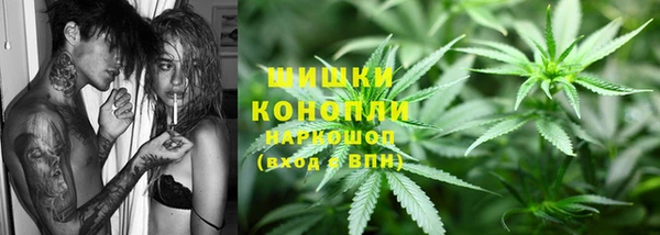 ПСИЛОЦИБИНОВЫЕ ГРИБЫ Алзамай